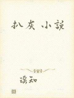 扒灰 小说