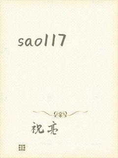 sao117封面