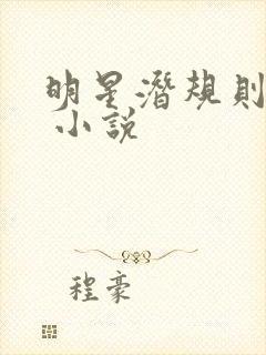明星潜规则之皇 小说封面