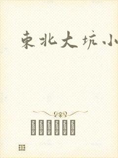 东北大坑小说