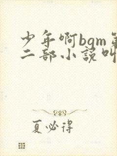 少年啊bgm第二部小说叫什么