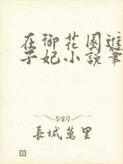 在御花园进入太子妃小说笔趣阁封面