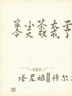 宁小茶太子殿下今天破戒了吗免费阅读