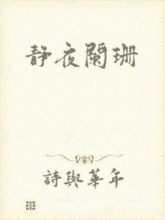 静夜阑珊封面