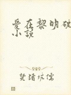 爱在黎明破晓前小说