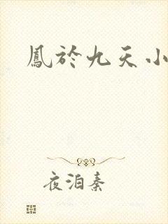 凤于九天小说
