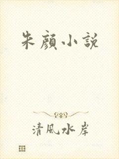 朱颜小说