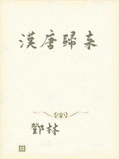 汉唐归来