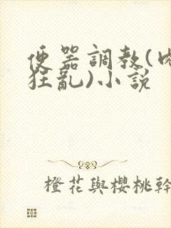 便器调教(肉体狂乱)小说
