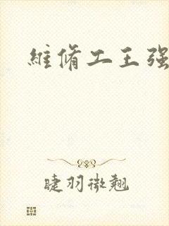 维修工王强张婷