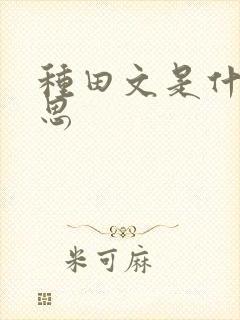 种田文是什么意思