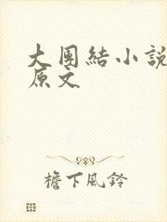 大团结小说阅读原文