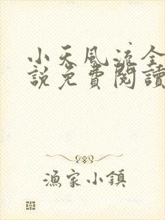 小天风流全集小说免费阅读封面