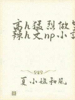 高h猛烈做哭高辣h文np小说封面