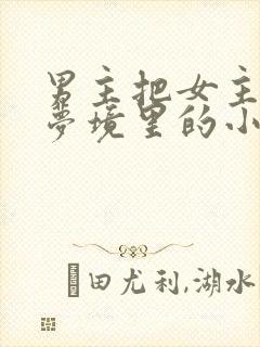 男主把女主拖进梦境里的小说