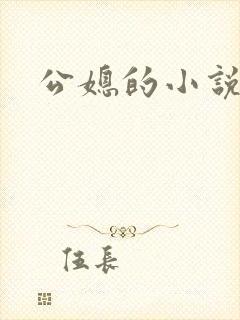 公媳的小说