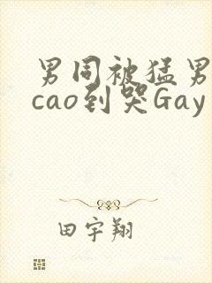 男同被猛男房东cao到哭Gay