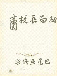 高校长白结大团圆封面