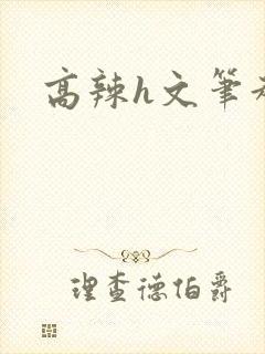 高辣h文笔趣阁
