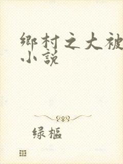 乡村之大被同眠小说封面