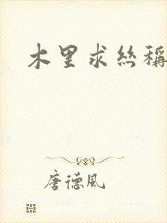 木里求丝称雄记封面
