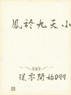 凤于九天小说