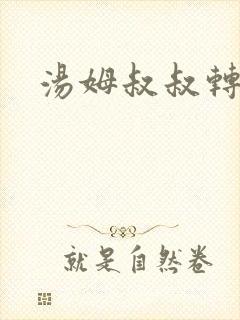 汤姆叔叔转接口
