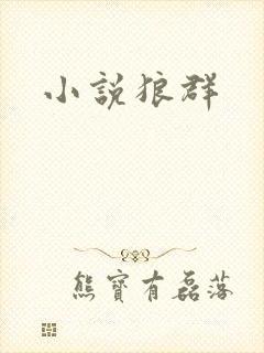 小说狼群