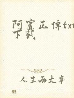 阿宾正传txt下载