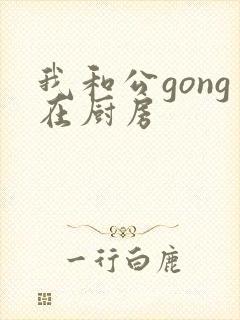 我和公gong在厨房