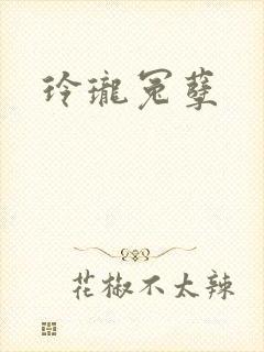 玲珑冤孽
