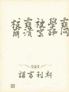 校霸被学霸玩到崩溃云译网封面