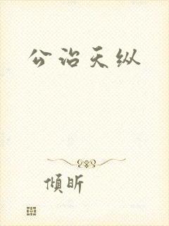 公治天纵封面