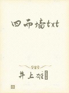 四面墙txt