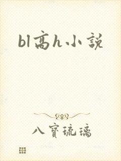 bl高h小说封面