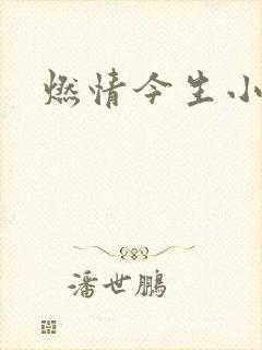燃情今生小说