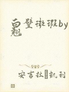 白璧微瑕by连翘