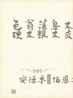 色翁荡息又大又硬又粗又爽