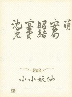 沈宴昭安萌全文免费结局
