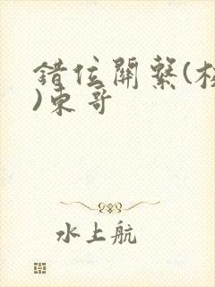 错位关系(校园)东哥
