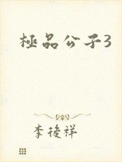 极品公子3