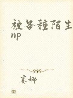 被各种陌生人 np