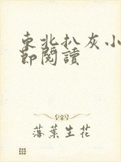 东北扒灰小说分节阅读封面