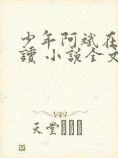 少年阿斌在线阅读 小说全文免费