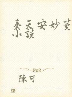 秦天安妙菱修仙小说封面