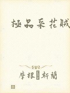 极品采花贼