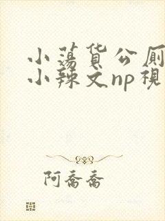 小荡货公厕h文小辣文np视频