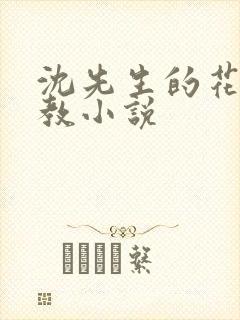 沈先生的花式管教小说