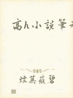 高h小说笔趣阁