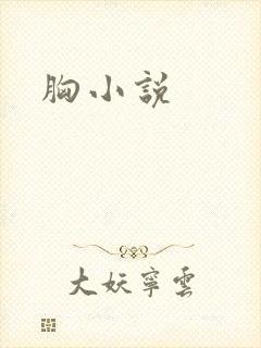 胸小说